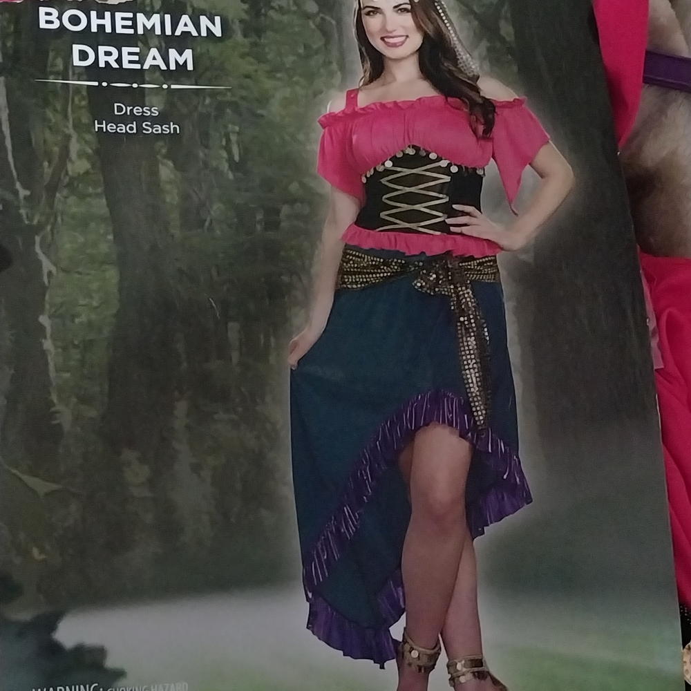 Woman's gypsy bohemian dream Halloween costume Woman's  Small 4-6